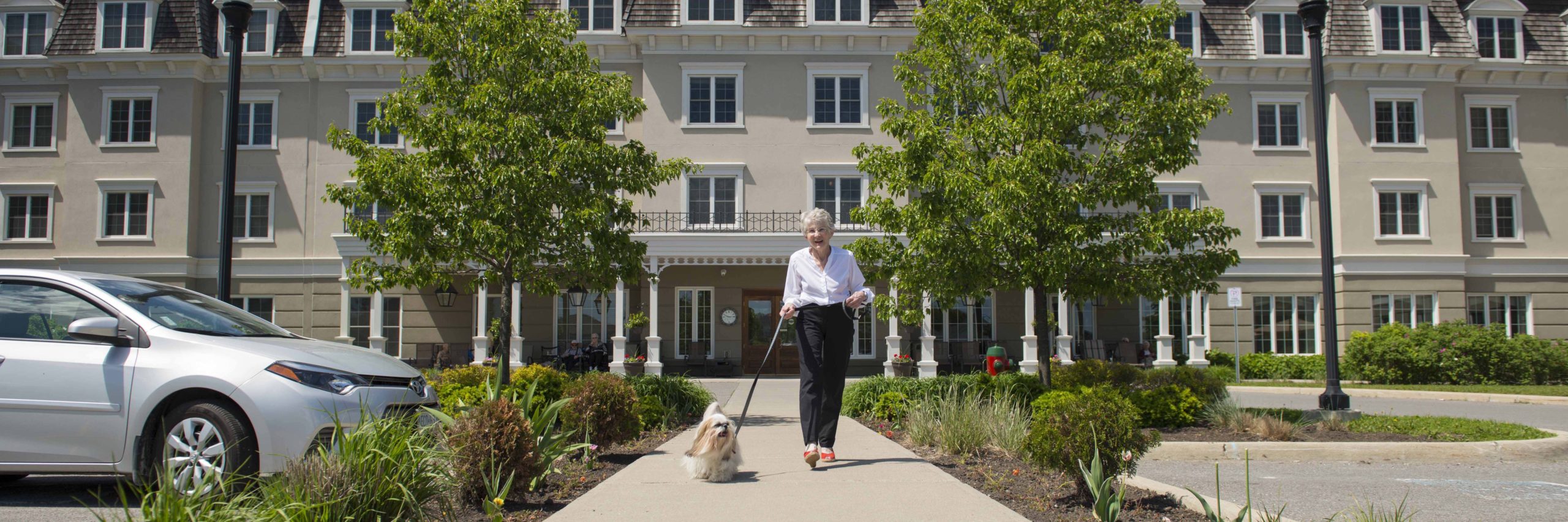Beautiful senior lady walking with her dog outside of the Retirement Community at Adelaide Place.